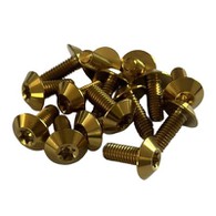 Titàn Countersunk rondelle tèt Torx vis