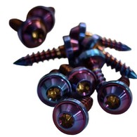 Titàn Alloy Truss Head Torx Self-Tapping Screw