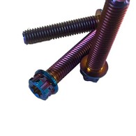 Titàn bride tèt Torx vis / boulon